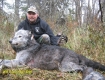 will_dueck_wolf2__2009-jpg