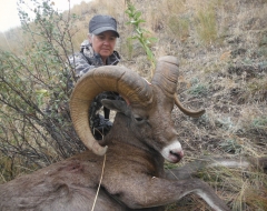 Bog Horn Ram 2014