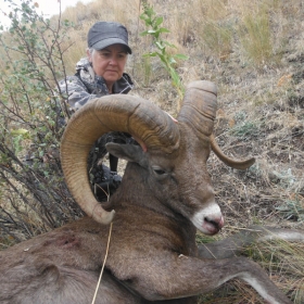 big-horn-1