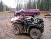 big-horn-4