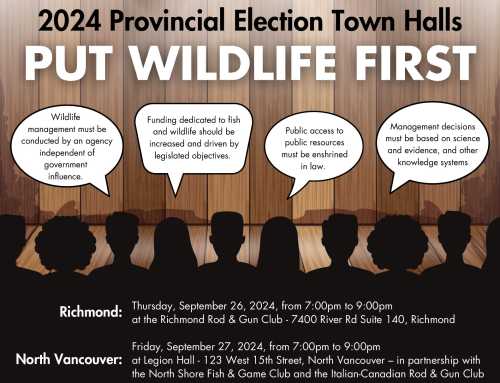 Wildlife Townhalls for BC Provincial Election