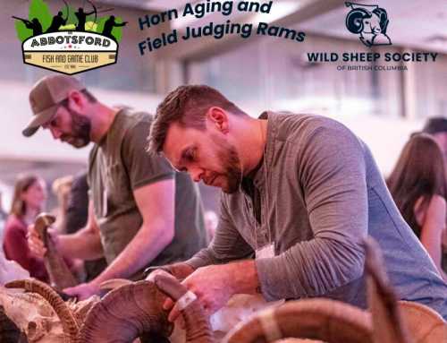 Horn Aging and Field Judging Rams Workshop