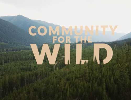 Community for the Wild Documentary